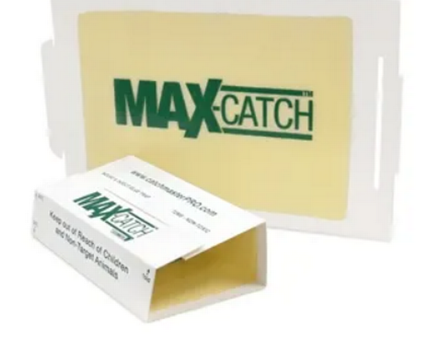 TRAPPE COLLANTE MAX CATCH